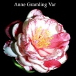 Anne Gramling Variegated